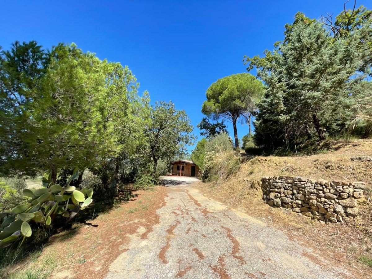 Wonderful House In The Heart Of Sicily Villa Пиаца Армерина Екстериор снимка