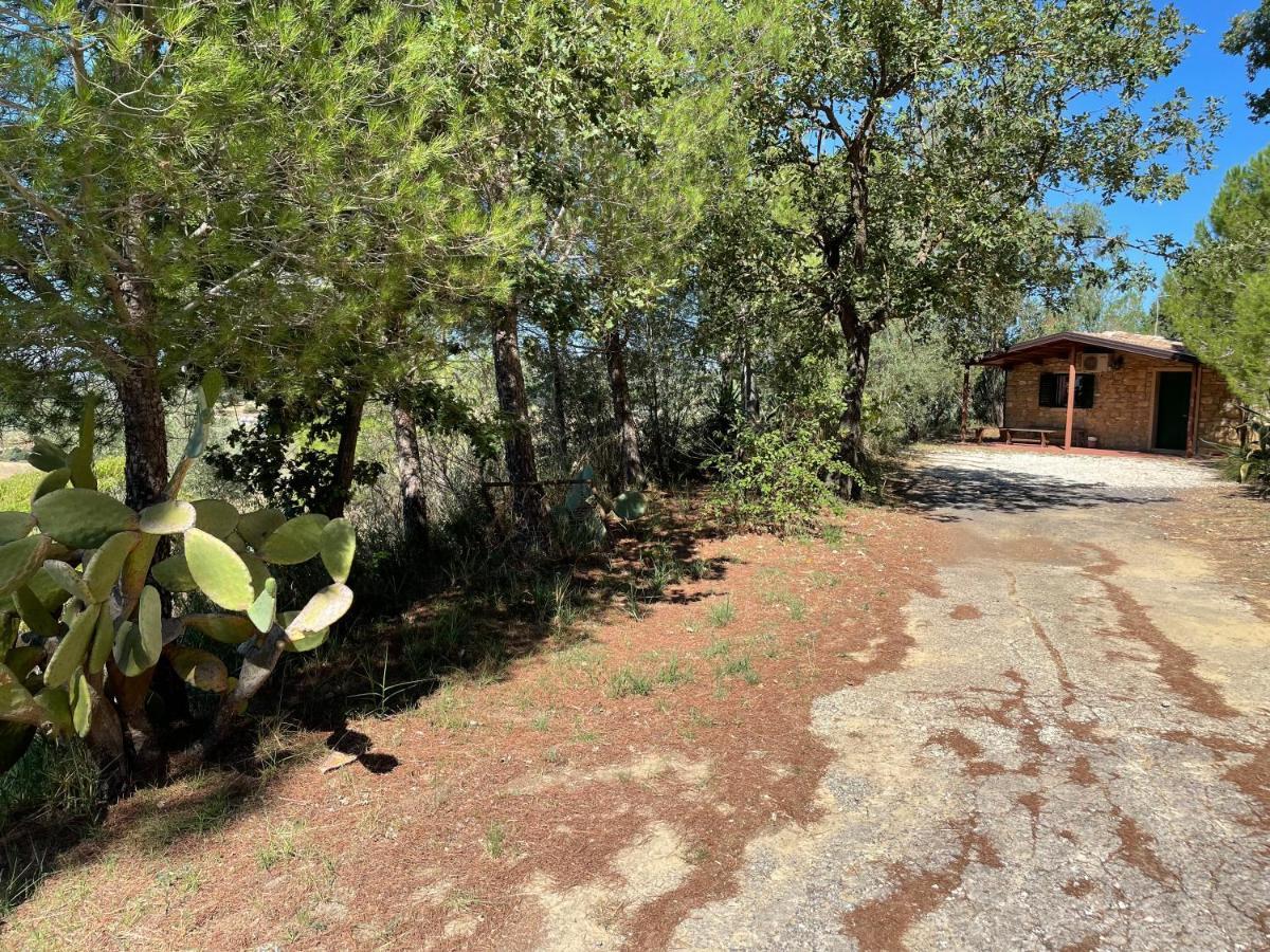 Wonderful House In The Heart Of Sicily Villa Пиаца Армерина Екстериор снимка
